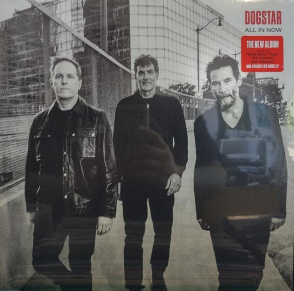 dogstar - all in now